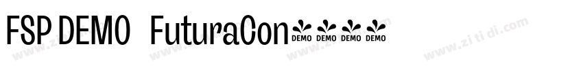 FSP DEMO   FuturaCon字体转换